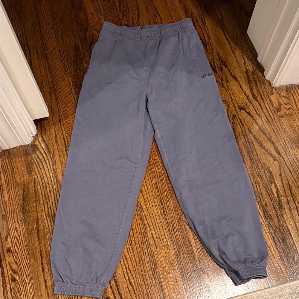 Aritzia mega fit sweatpants